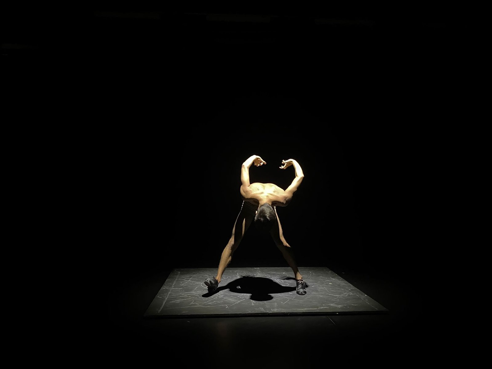 Foto Performance 11