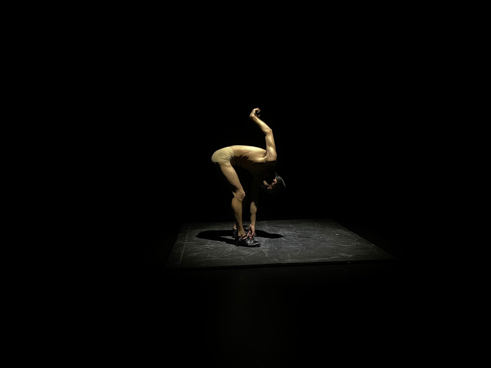 Foto Performance 8